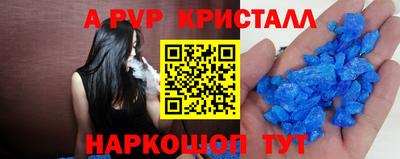 СК Шелехов