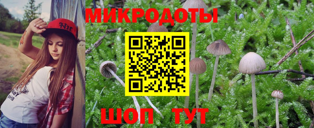 Галлюциногенные грибы мицелий Миллерово